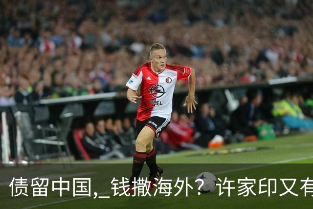 债留中国, 钱撒海外？许家印又有重大资产被挖, 捐哈佛12亿冰山一角
