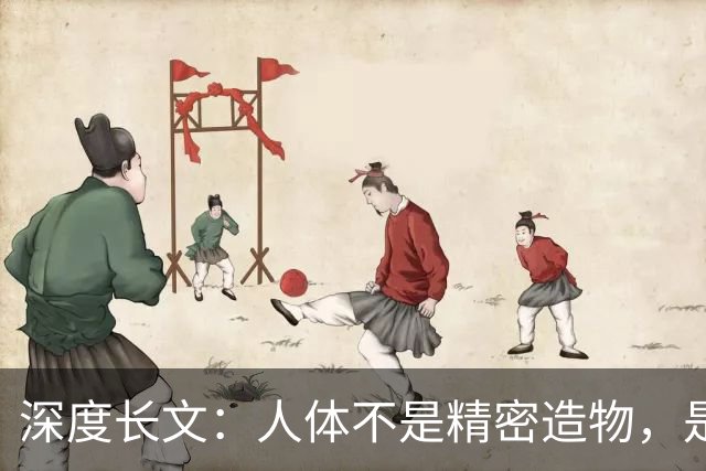 深度长文：人体不是精密造物，是进化盖了 5 亿年的“烂尾楼”！