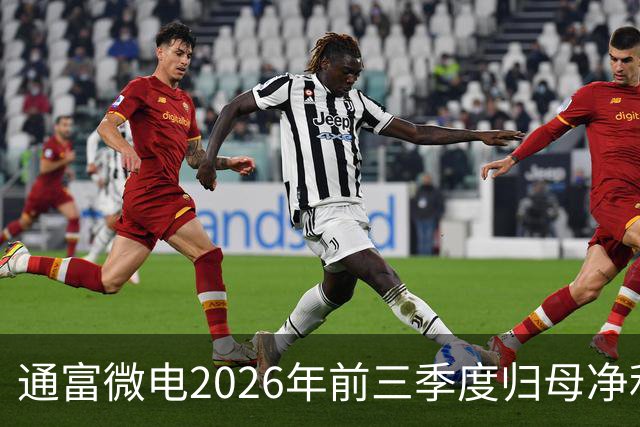 通富微电2026年前三季度归母净利润30.61亿元，同比增长255.68%
