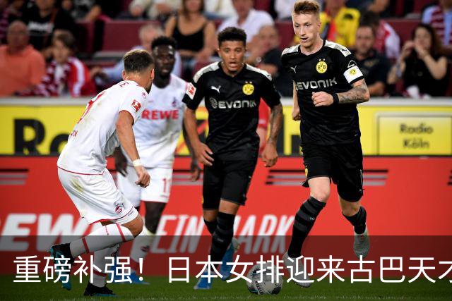 重磅补强！日本女排迎来古巴天才强援，或是下一个瓦尔加斯