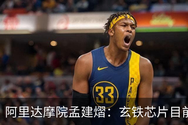 阿里达摩院孟建熠：玄铁芯片目前已经稳定出货超60亿颗