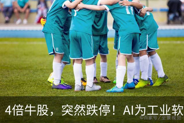 4倍牛股，突然跌停！AI为工业软件开启新机遇，11股成交活跃度提升
